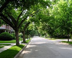 Don’t Forget Your Neighborhood