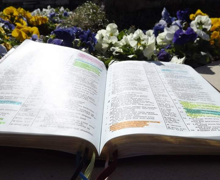 God’s Words Are Sweet, Are Yours?