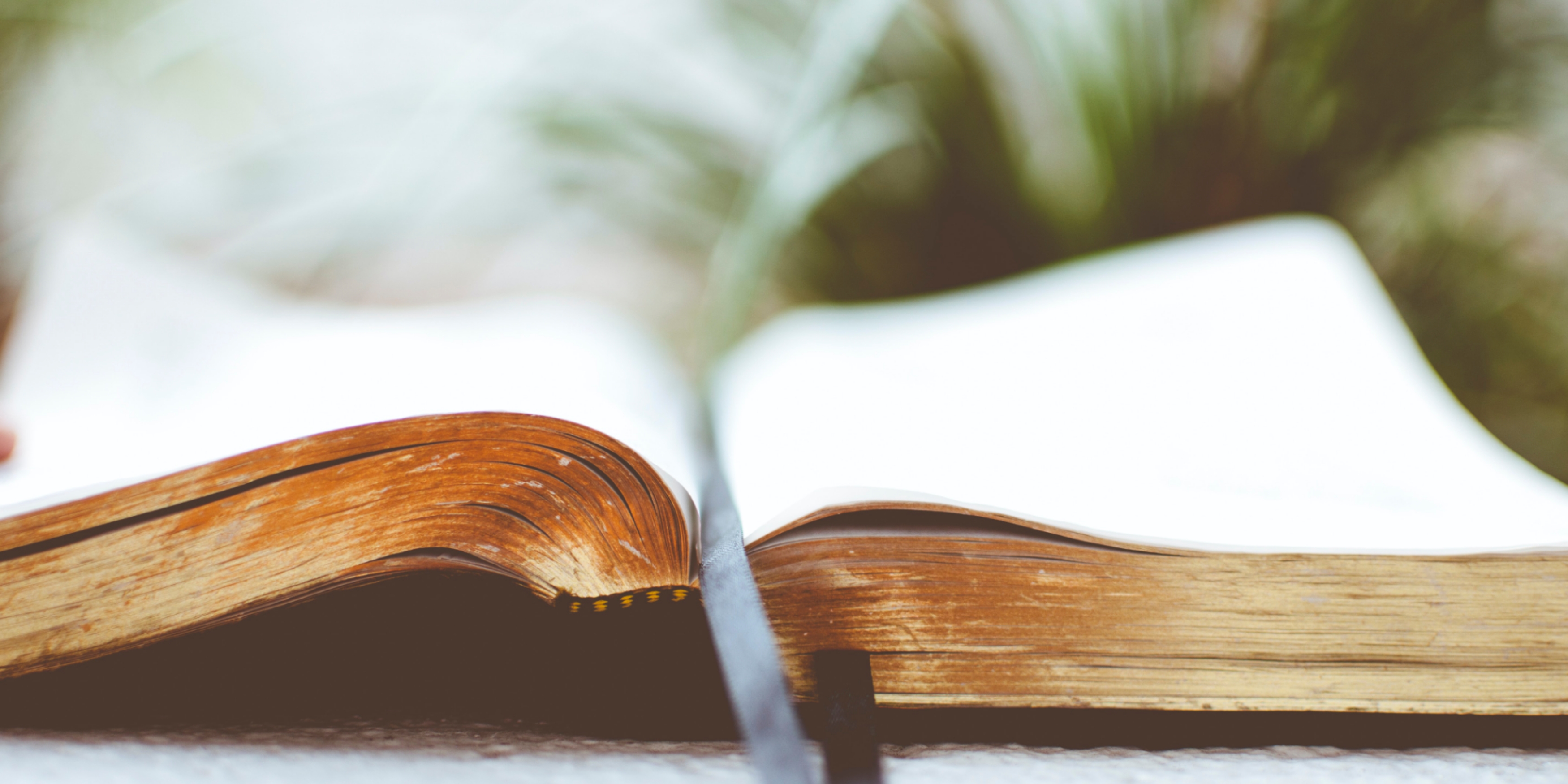 Treasuring The Torah