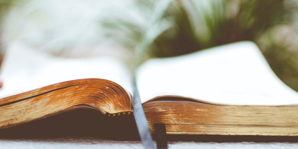 Treasuring The Torah