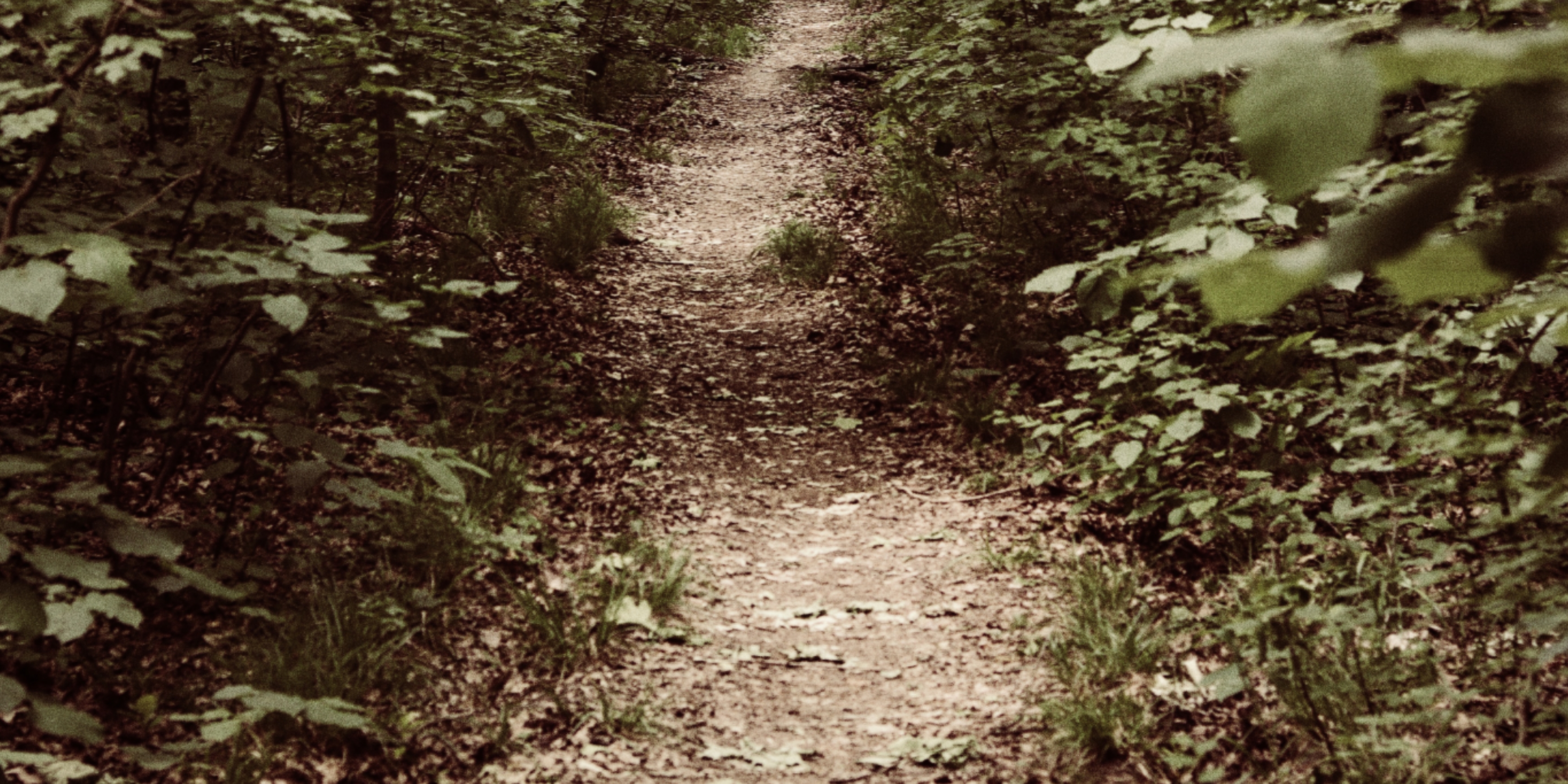 The Narrow Path (Matthew 7:13-23)