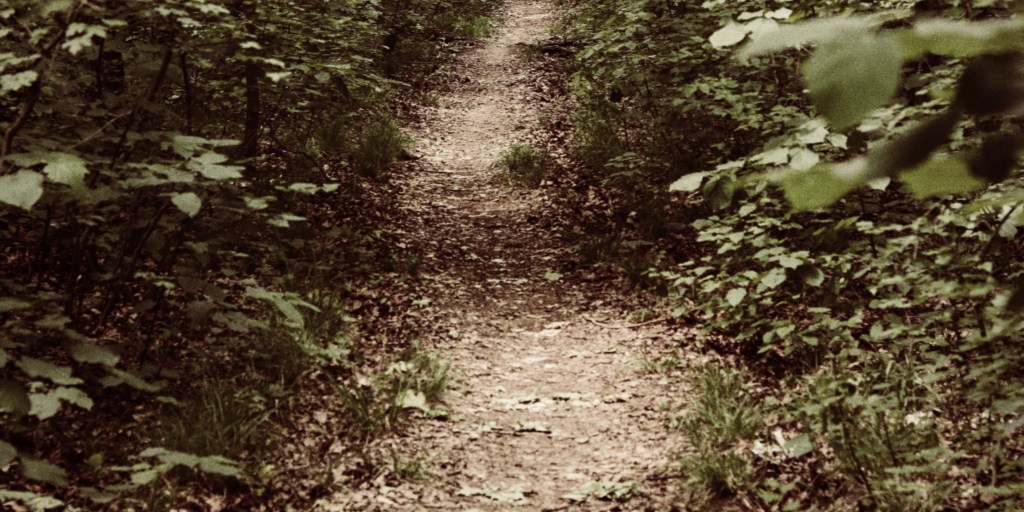 The Narrow Path (Matthew&nbsp;7:13-23)