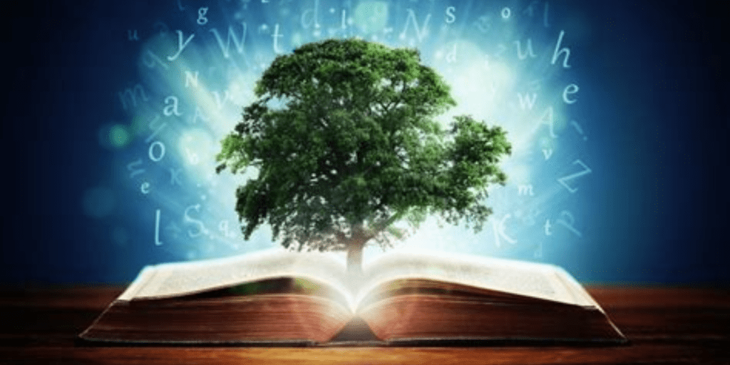 Obedience: The Key to&nbsp;Blessing