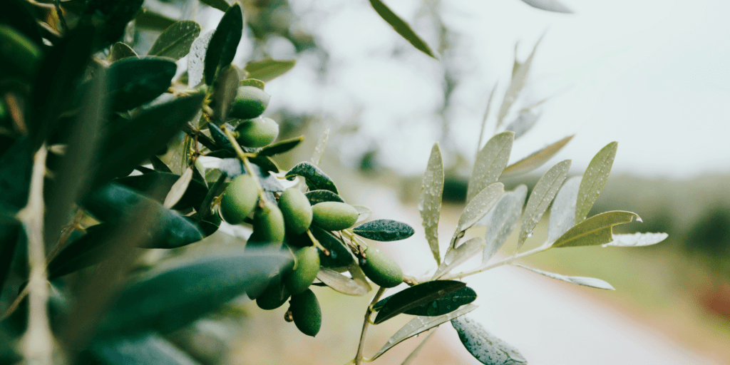 Forgiveness, Restoration, and&nbsp;Blessing