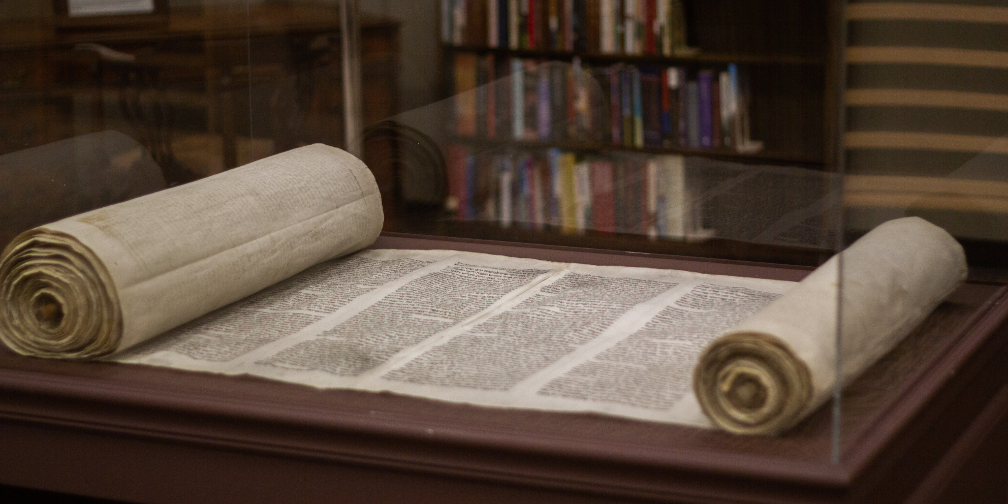 Thoughts From The Torah