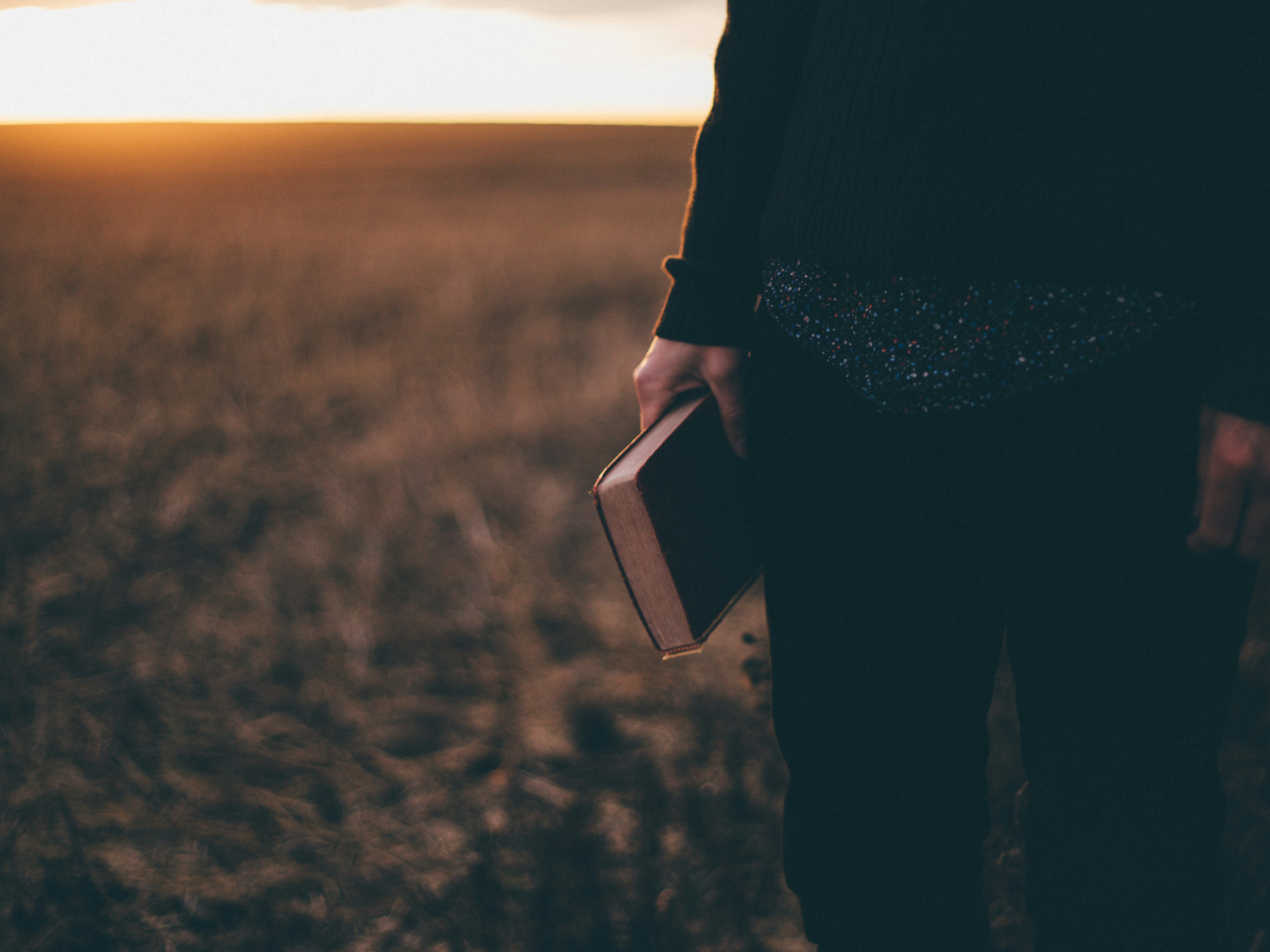 Elul: A Call to Nearness